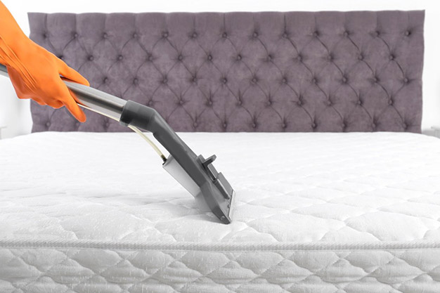 lorem ipsum dolor sit