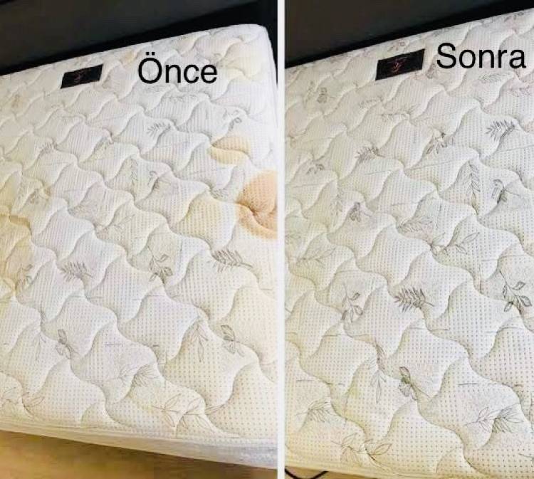 lorem ipsum dolor sit