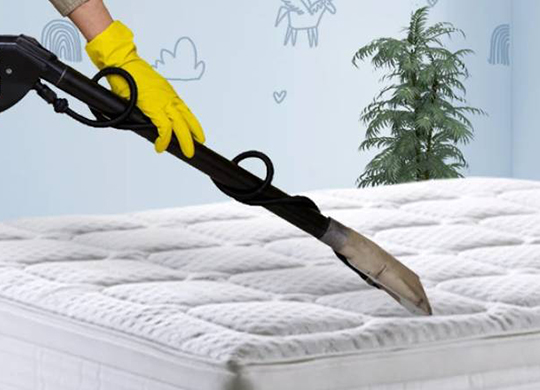 lorem ipsum dolor sit